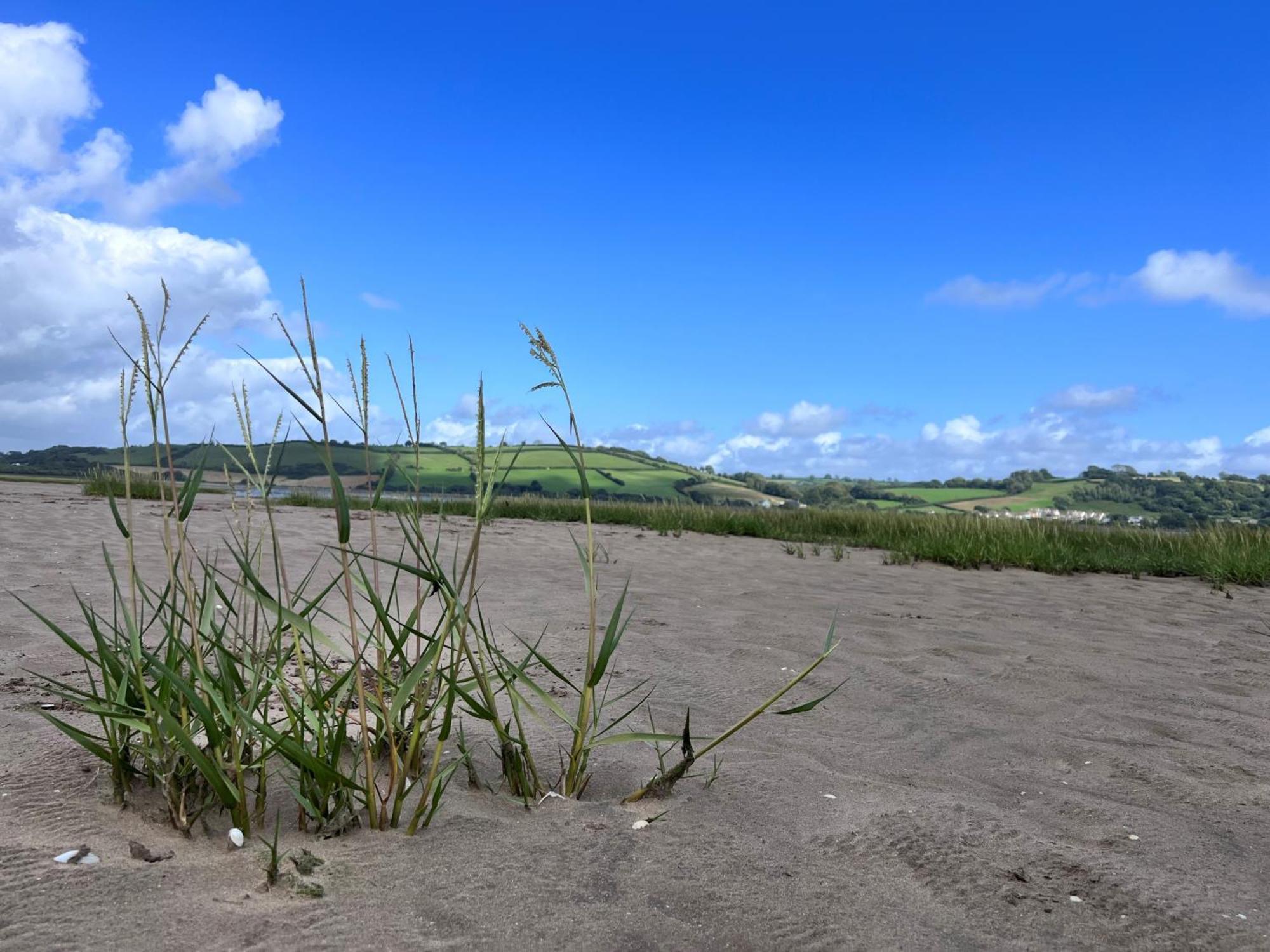 Luxury 2-Bed Barn Conversion In Llansteffan Carmarthen Eksteriør billede